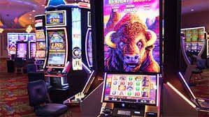 bingo bet Philippines mobile sports betting and live casino platform overview